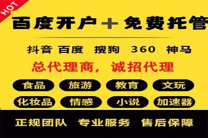 互联网公司SEM代运营成功案例剖析